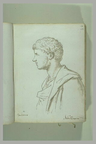 Jeune homme drapé, vu en buste, de profil tourné vers la gauche, image 2/2