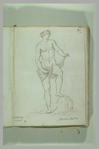 Femme nue retenant une draperie autour de ses reins, debout sur une coquille, image 2/2