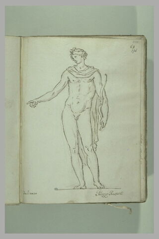Jeune homme debout, nu, une draperie sur les épaules, ... ; Apollon, image 2/2