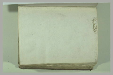 Tête de cheval, image 2/2