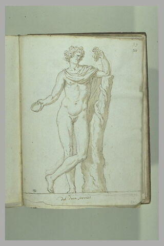 Bacchus vu de face, image 2/2