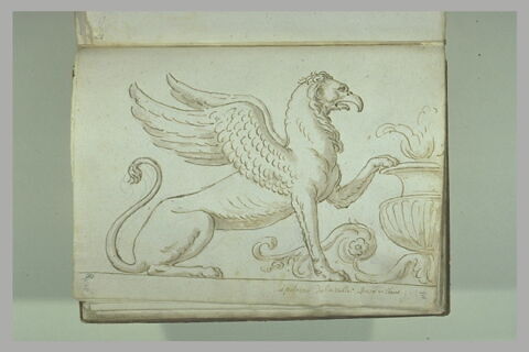 Griffon vu de profil vers la droite, la patte gauche posée sur le bord..., image 2/2