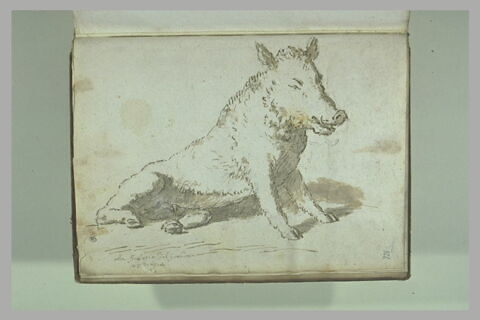 Le Sanglier dit 'Il porcellino', image 2/2