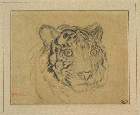 Tête de tigre, image 1/2