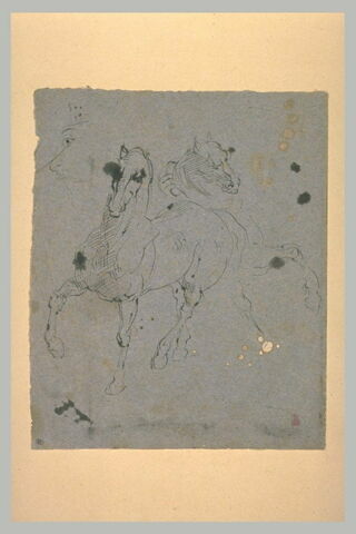 Chevaux piaffant ; croquis d'un profil, image 1/1