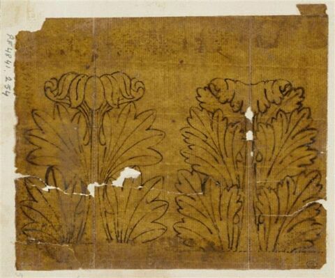 Palmettes antiques, image 1/2