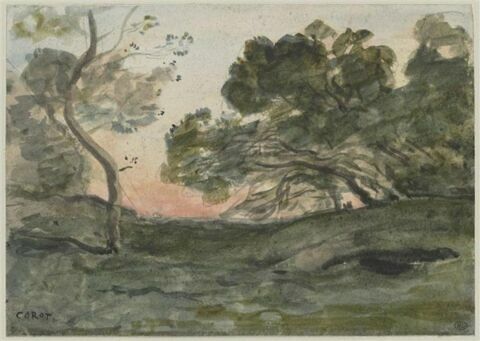 La clairière aux arbres penchés, image 1/2