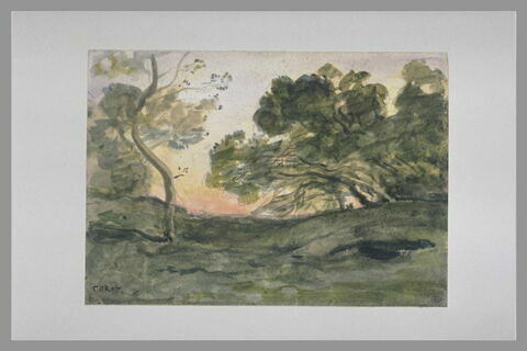 La clairière aux arbres penchés, image 2/2