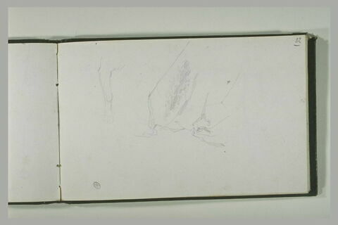 Patte de chien ; croquis, image 2/2