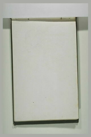 Visage d'une femme, de profil, image 2/2
