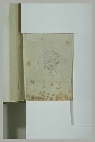 Profil de Napoléon Bonaparte, image 1/1