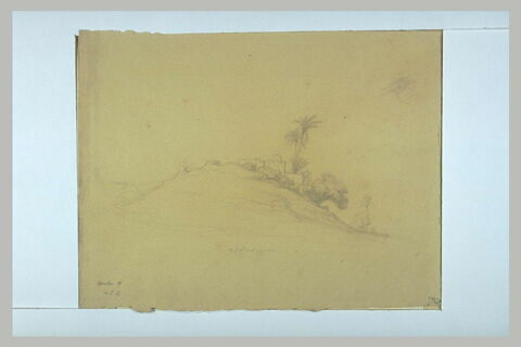 Bâtiments orientaux parmi des palmiers, sur une colline, image 1/1