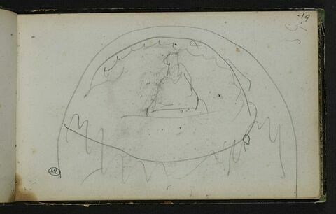 Croquis, image 1/1