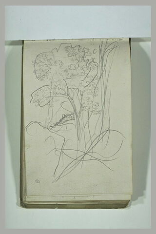 Etude de paysage, image 2/2