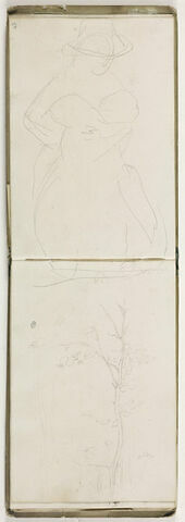 Etude d'arbre ; traits, image 3/5