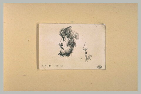 Tête d'homme barbu ; profil d'une autre tête, image 1/2
