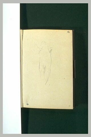 Figure (?), image 1/1