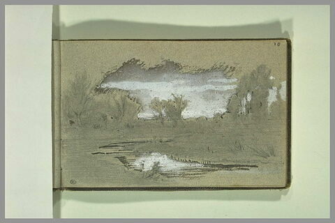 Paysage de marécage, image 1/1