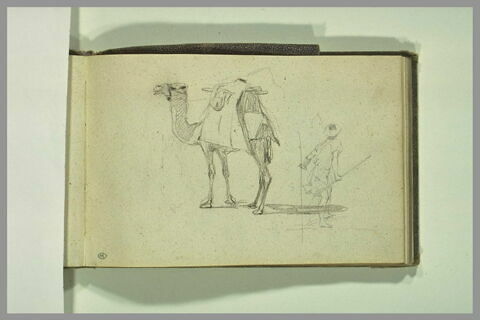 Etude d'un dromadaire et d'un homme, image 1/1