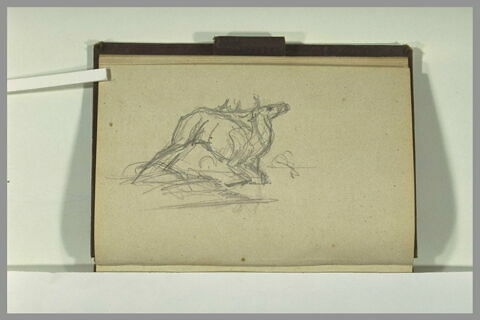 Etude d'un cerf, image 1/1