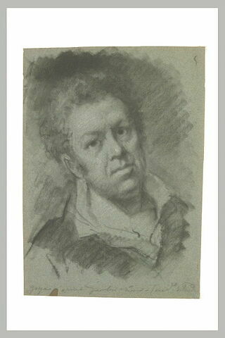 Portrait de Francisco Goya, image 2/2