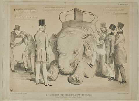 Lithographie humoristique : a lesson in elephant riding