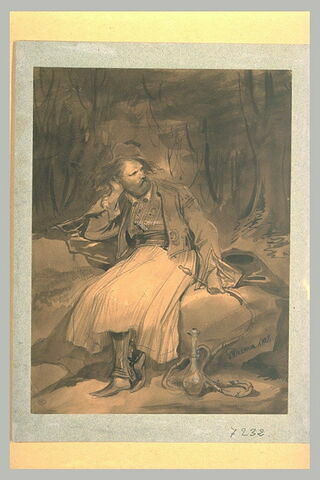 Le Palikare assis, au milieu d'un bois, sur un rocher, image 1/1