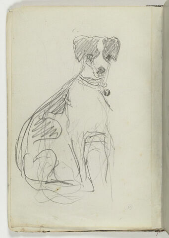 Etude de chien, image 1/2