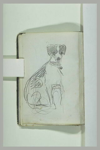 Etude de chien, image 2/2