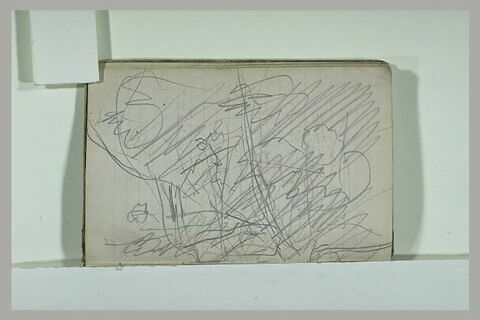 Paysage, image 1/1
