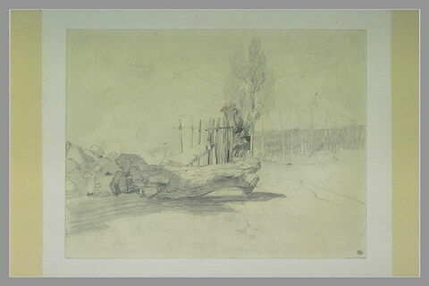 Tronc d'arbre coupé et plus loin, arbres et haie., image 1/1