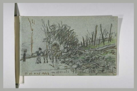 Un attelage de boeufs sur une route, image 1/1