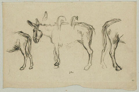 Trois études d'âne pour le Matin (1856)