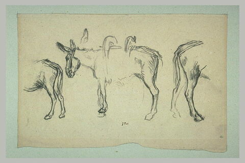 Trois études d'âne pour le Matin (1856), image 2/2