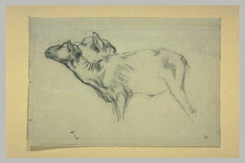 Deux moutons, image 1/1