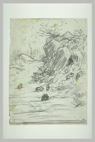 Lapins dans un paysage, image 1/1