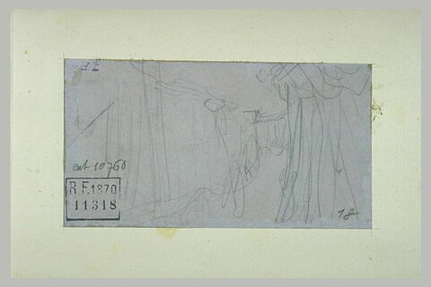 Paysage avec une route entre des arbres, image 1/1