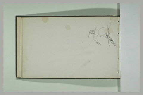 Etude d'harnachement, image 1/2