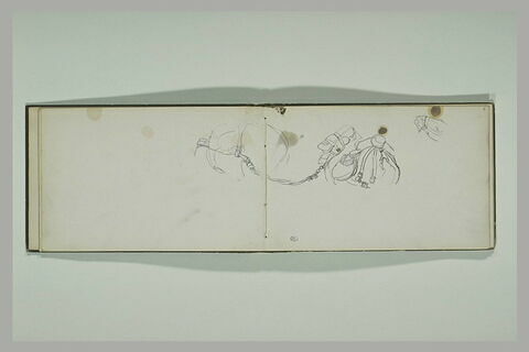 Etude d'harnachement, image 2/2