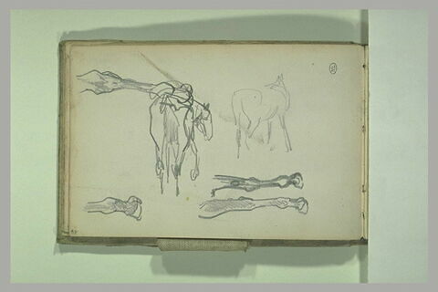 Deux études de cheval ; jambes de cheval, image 1/1