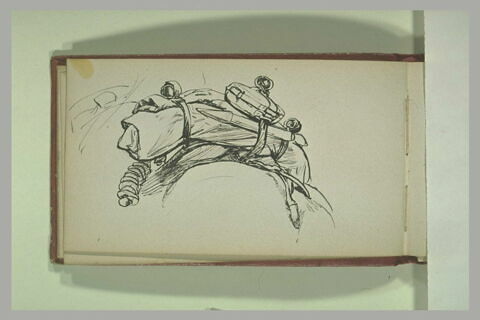 Barda sur une selle d'un cheval, image 1/1