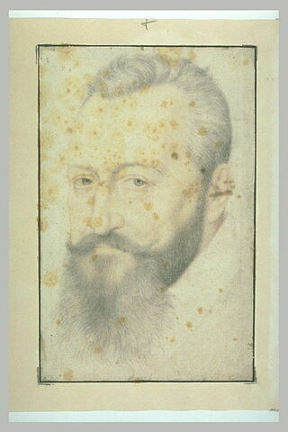 Tête d'homme barbu, image 2/2