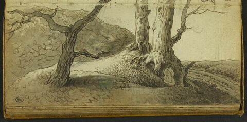 Trois arbres dans un paysage sinueux, image 1/1