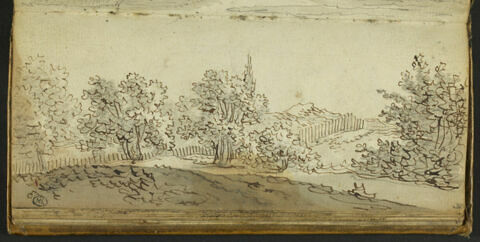 Paysage montueux et planté d'arbres, image 1/1