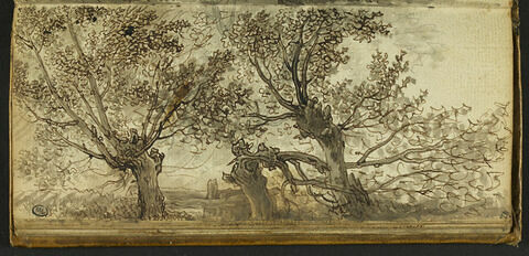 Paysage composé d'arbres feuillus