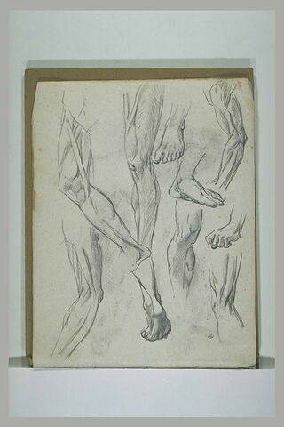 Mains, pieds et études myologiques de bras et de jambes, image 1/1
