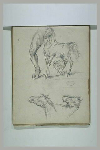 Cheval, têtes de cheval, et jambes d'homme nu, de face, image 1/1