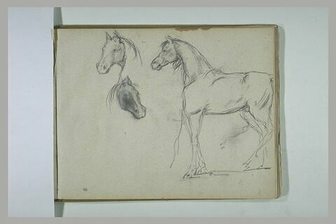 Cheval, et têtes de cheval, image 1/1