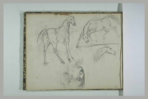 Chevaux, et tête de femme, image 1/1