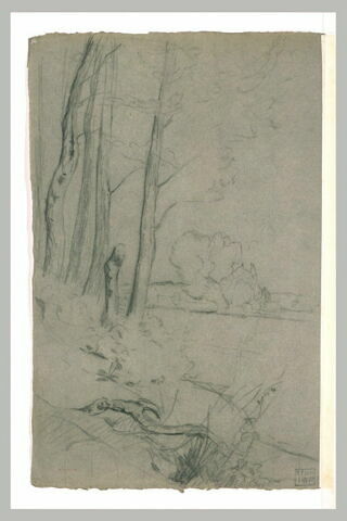 Bord d'une rivière avec des arbres, image 1/1